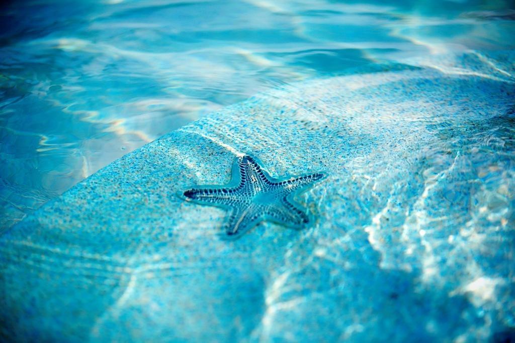 Warwick Paradise Island Bahamas (Adults Only) Nassau Zewnętrze zdjęcie